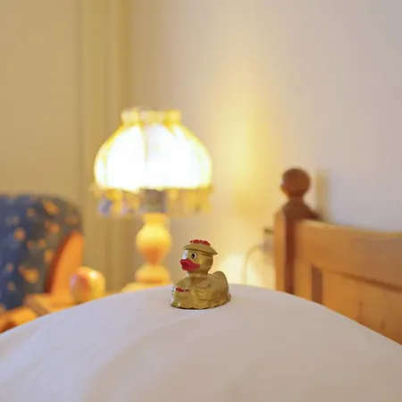 Hotel Hofgut Sternen - Wohnen In Kunst Und Kultur Breitnau