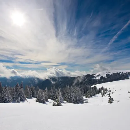 Hofgut Sternen - Wohnen In Kunst Und Kultur 3*