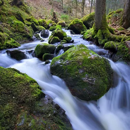 Hofgut Sternen - Wohnen In Kunst Und Kultur Breitnau
