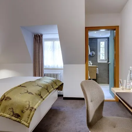 Hotel Hofgut Sternen - Wohnen In Kunst Und Kultur 3*