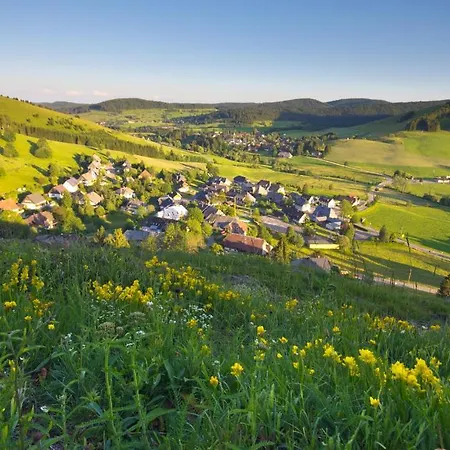 Hotel Hofgut Sternen - Wohnen In Kunst Und Kultur Breitnau