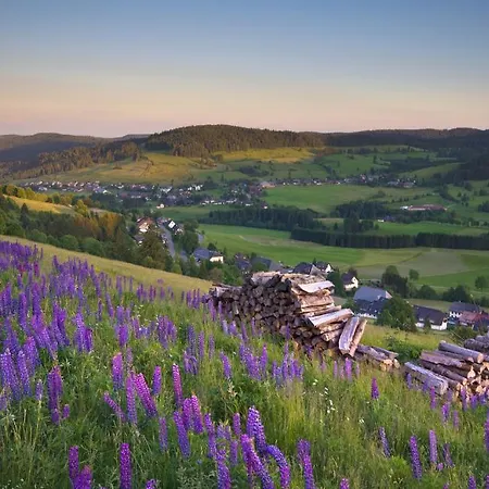 Hotel Hofgut Sternen - Wohnen In Kunst Und Kultur