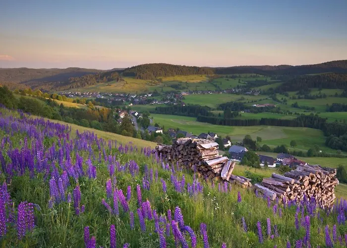 Hotell Hofgut Sternen - Wohnen In Kunst Und Kultur